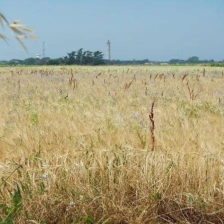 Re Locations Tatil Evi Saint-Clément-des-Baleines