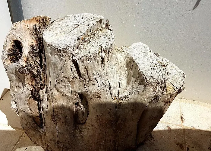 Holiday home Re Locations Saint-Clement-des-Baleines